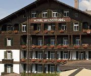 Photo of the hotel Sporthotel Wildstrubel
