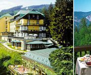 Photo of the hotel Alpenhotel Gösing
