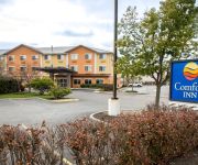 Photo of the hotel Comfort Inn Gurnee - Mall Area