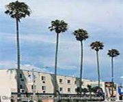 Photo of the hotel The Kinney-Venice Beach