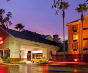 Photo of the hotel Hampton Inn - Suites Tampa-North