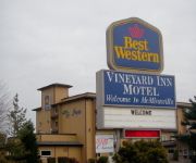 Photo of the hotel GUESTHOUSE VINEYARD