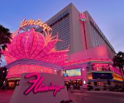 Photo of the hotel Flamingo Las Vegas