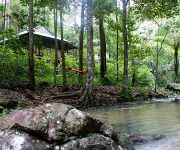 Photo of the hotel Narrows Escape Rainforest Retreat
