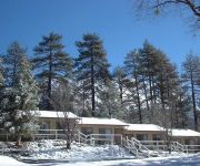 Photo of the hotel Pine Woods Resort