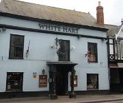 Photo of the hotel The White Hart