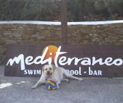 Photo of the hotel Hotel Mediterraneo