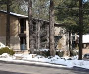 Photo of the hotel MOTEL IN THE PINES