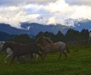 Photo of the hotel Los Torreones Lodge