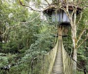 Photo of the hotel Treehouse Lodge