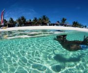 Photo of the hotel Bohio Dive Resort