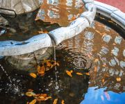 WARWICK MELROSE HOTEL DALLAS