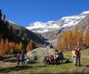 Alpinhotel Jesacherhof - Gourmet & Spa