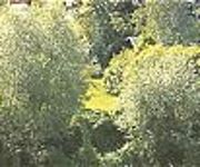 Parkhotel Het Gulpdal