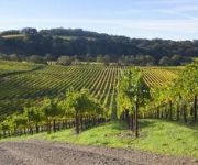 FLAMINGO RESORT HOTEL AND SPA