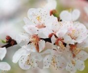 Berghof - Vital Gasthof