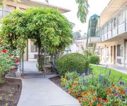 Comfort Inn Yosemite Area