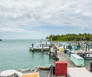 an Ascend Resort Bluegreen Vacations Hammocks at Marathon
