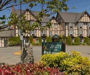 Quality Inn Waddling Dog