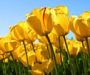 Holiday Inn Express & Suites SAN PABLO - RICHMOND AREA