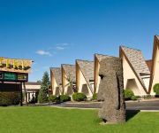 TIKI RESORT WYNFIELD COLLECTION BY