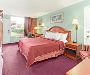 HOJO TROPICAL PALMS KISSIMEE