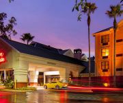Hampton Inn - Suites Tampa-North
