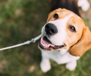 Renaissance Oklahoma City Convention Center Hotel