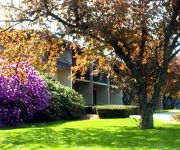 MAGNUSON HOTEL FRAMINGHAM