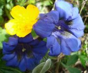 Bauernhof Oberniggler