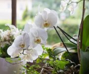 Landgasthof Rechenwirt