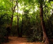 Nuevo San Román de Escalante