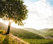 Schwarzer Adler Gasthof und Weingut