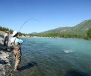 Soldotna B And B Lodge