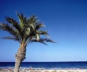 Palmera Beach Apartamentos