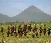 HOTEL JARDINES ARENAL