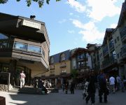 Raintree's Whiski Jack At Whistlerview Whistler