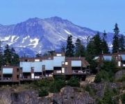 Raintree's Whiski Jack At Whistler Creek Whistler