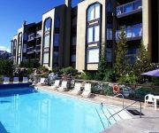 Raintree's Whiski Jack At Ironwood Whistler