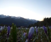 Prantekammern Hütte Walchegg Innervillgraten Almhütte