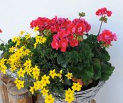 Bauernhof Sauermooshof