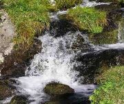 Bauernhof Plattnerhof