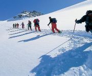 Alpenrose im Virgental in Osttirol Pension