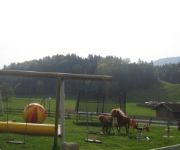 Bauernhof Haflingerhof