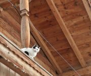 Bauernhof Ferienwohnung in St. Johann Oberbürghof