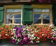 Bauernhof Kräuterbauernhof Erath KUHFORYOU