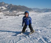 Bauernhof Ferienhof Auerhof