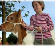 Bauernhof Bio- & Gesundheitsbauernhof PRINZENHOF