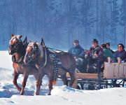 Bauernhof Familienbauernhof Köss - Wohlfühlen und Genießen