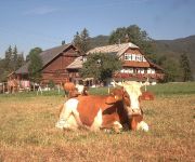 Bauernhof Willkommen beim Steinbauer